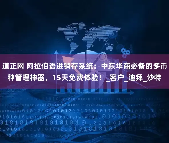 道正网 阿拉伯语进销存系统：中东华商必备的多币种管理神器，15天免费体验！_客户_迪拜_沙特