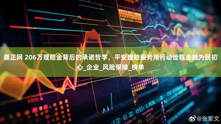 嘉正网 206万理赔金背后的承诺哲学，平安理赔服务用行动诠释金融为民初心_企业_风险保障_榜单