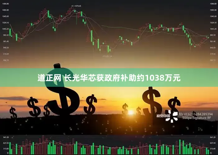 道正网 长光华芯获政府补助约1038万元