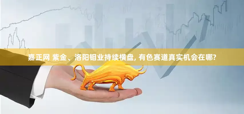 嘉正网 紫金、洛阳钼业持续横盘, 有色赛道真实机会在哪?